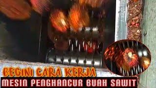 Download Lagu ternyata seperti ini cara kerja mesin penghancur buah kelapa sawit MP3