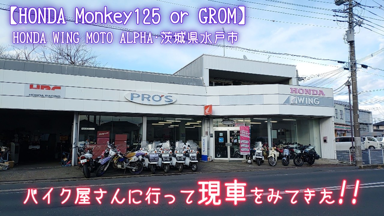 バイク屋さんに行って現車をみてきた!!(HONDA Monkey125 or GROM)HONDA 