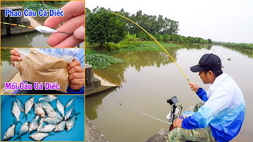 Câu Đài Nghiệp Dư ➣ Set Đồ Câu Cá Diếc và Mồi Câu Cá Diếc Mùa Đông 2020