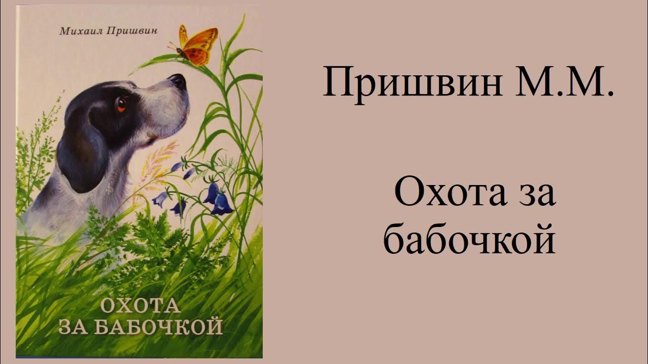 Сказка пришвина слушать. Пришвин охота за бабочкой о произведении.