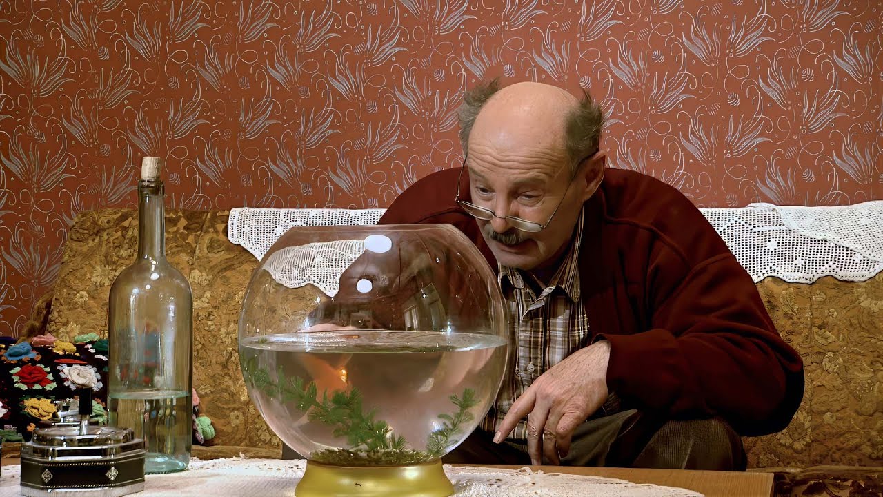 Lud,zbunjen,normalan | EP59 | Zlatna ribica | CIJELA EPIZODA | Remaster