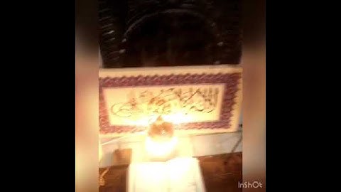 الشيخ ممدوح عامر سورة النمل