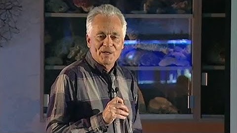 Who Was the Ancestor of the Vertebrates?