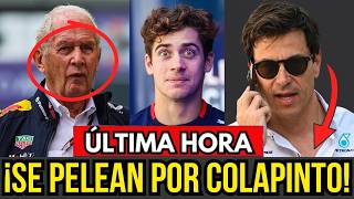 EL DUELO DEL SIGLO: HELMUT MARKO VS TOTO WOLFF POR EL TALENTO ARGENTINO