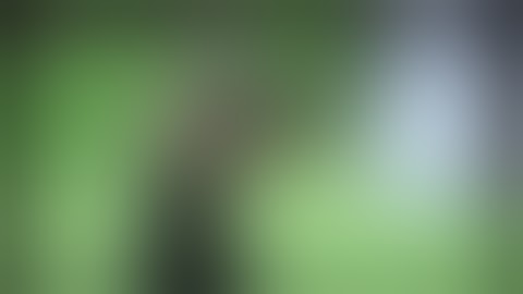 HK SP5 Binary Trigger Accuracy Test