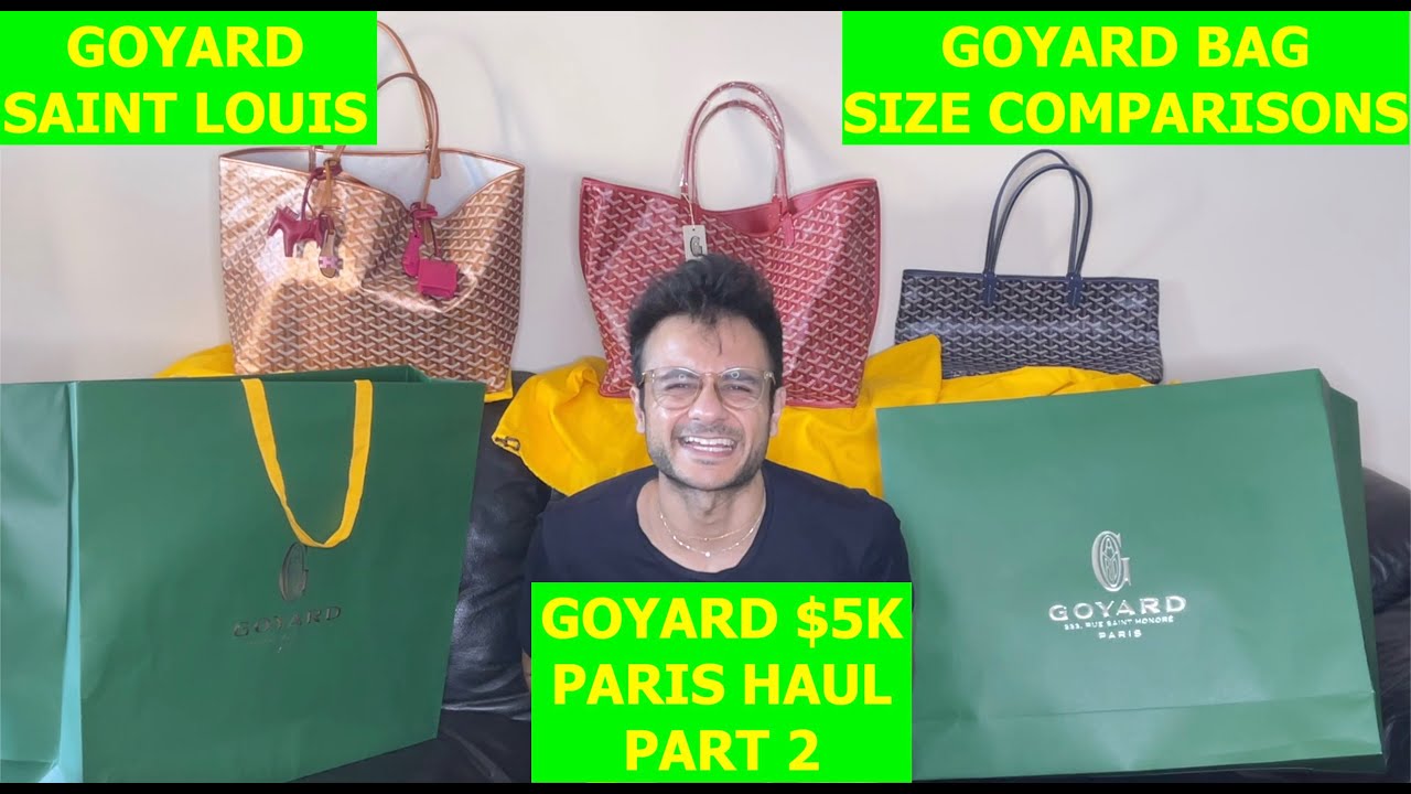 GOYARD  Anjou PM Review (2 Year Wear and Tear, Reversible Tote