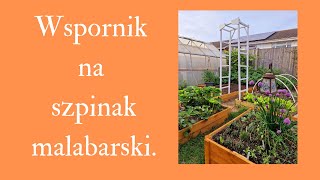 Piękny dzień na wykonanie wspornika pod szpinak malabarski. #spinach #szpinak #obelisk