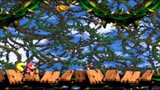 Donkey Kong Country 2 | Thorny Situations | @RealDealRaisi_K chords