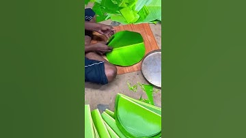 Banana leaves 🍃 cutting for meals