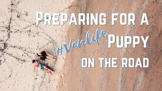 We ADOPTED a PUPPY During VANLIFE|| How We Got Our Van Puppy Prepared
