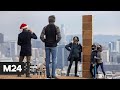 Прямо к Рождеству: в Сан-Франциско появился монолит из имбирных пряников - Москва 24
