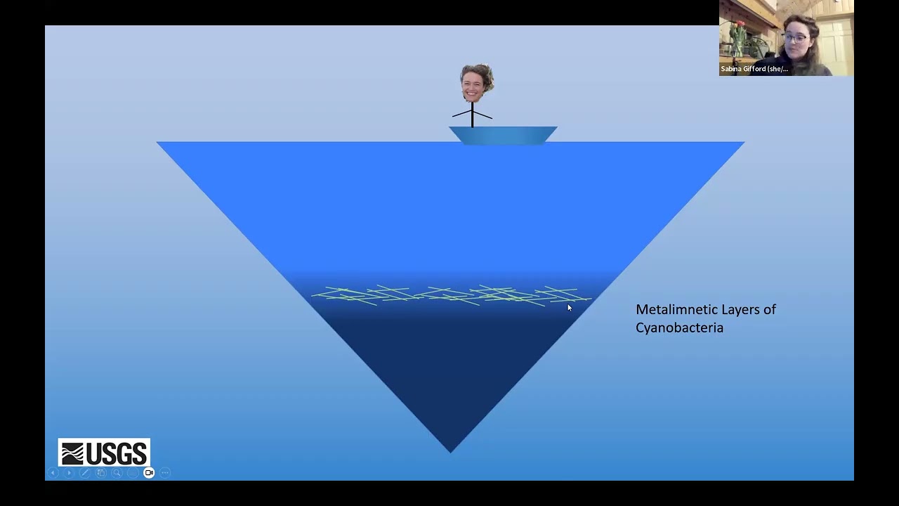 Understanding Cyanobacteria with Sabina Gifford