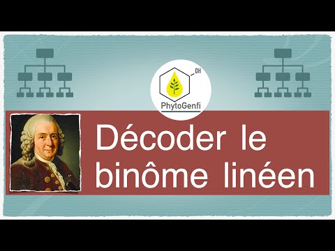 Vidéo: Quels sont les deux noms utilisés dans le système binomial ?