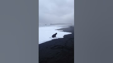 Thumbnail of Reynisfjara - Dangerous waves in Iceland