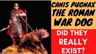 The Roman WAR DOG - Canis Pugnax.  How they were used?  Did they really exist? screenshot 5