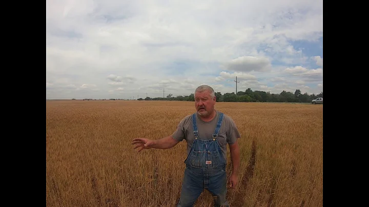 Steve Pope, Loyal Oklahoma--soil health story#1-20...
