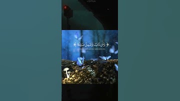 محمد صديق المنشاوي قرآن كريم بصوت جميل يريح القلب  استغفرك اللهم واتوب اليك #تلاوة_خاشعة #trending