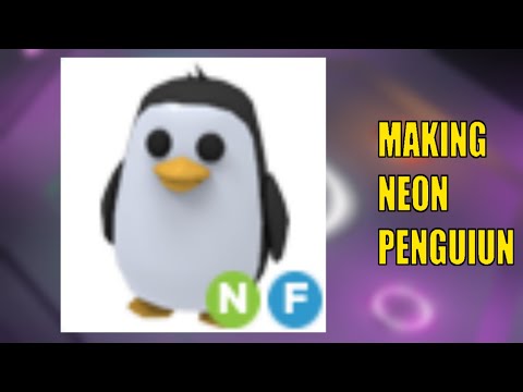 Penguin Normal NFR MFR Adopt me pet Roblox