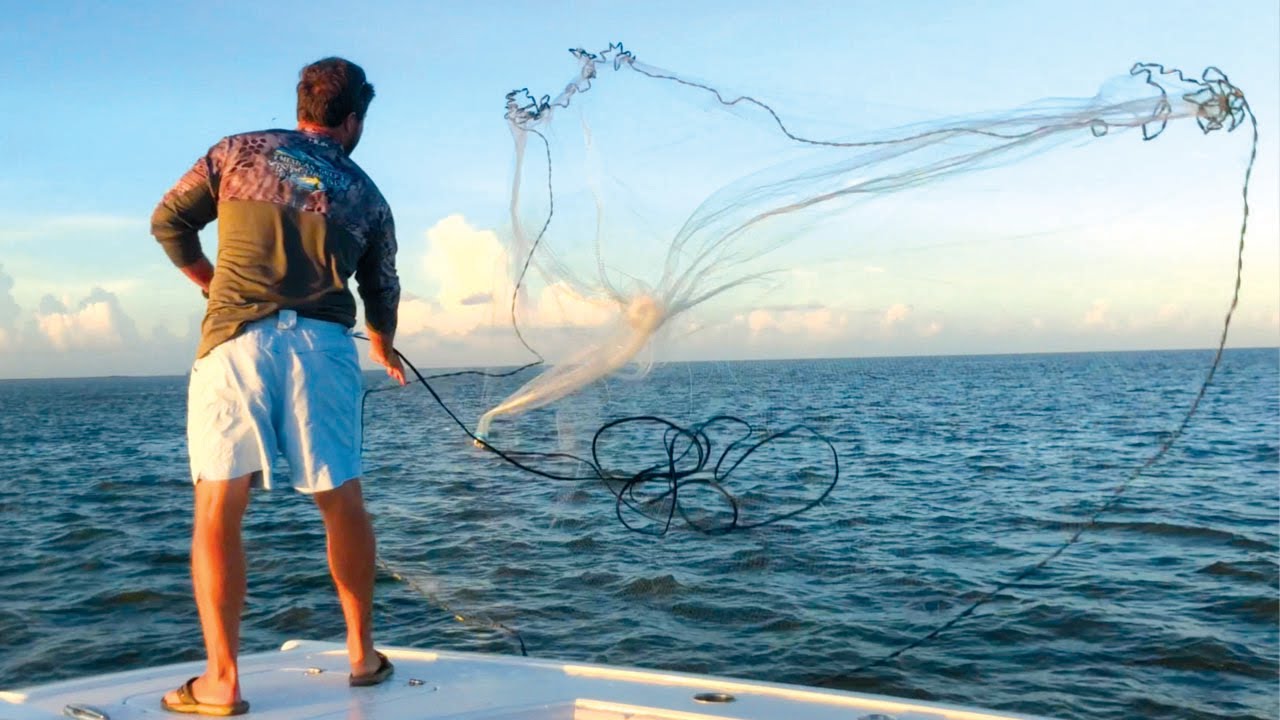 Too Much Bait in the Cast Net! Epic Bait Haul Catches GIANTS On Million