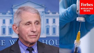 JUST IN: Dr. Fauci explains Johnson \& Johnson vaccine pause