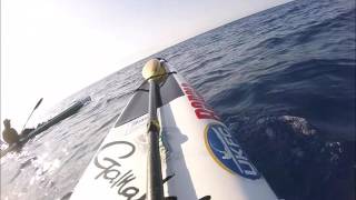 BLACK MARLIN OFF A KAYAK