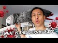 My Bird Might Have BORNAVIRUS (I Hope She Doesn't)  | Vlog #838