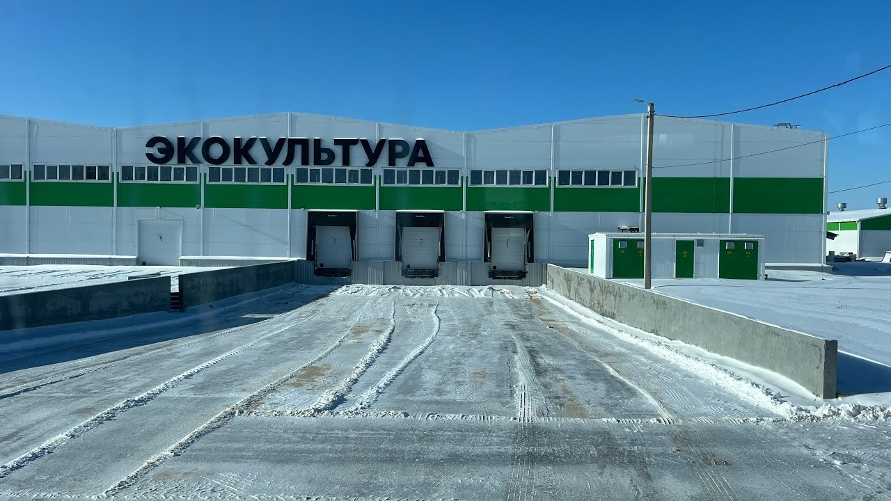 Мороз 🥶-25 зима так зима везем огурец 🥒 