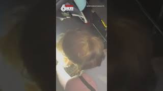 Pet python rescued