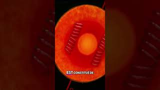 La Terre est un aimant géant ? #science #jamy #experience