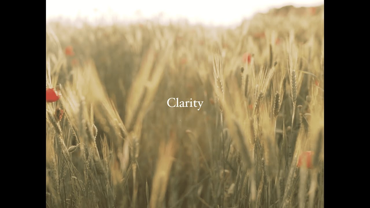 Watch Flo Chase Clarity (Lyric Video) on YouTube Watch Flo Chase Clarity (Lyric Video) on YouTube