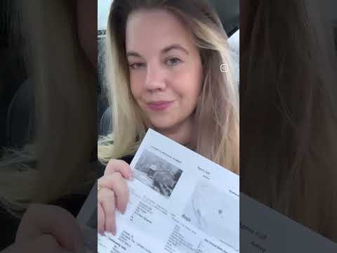 29 Heath Ct, Sicklerville, NJ home video tour