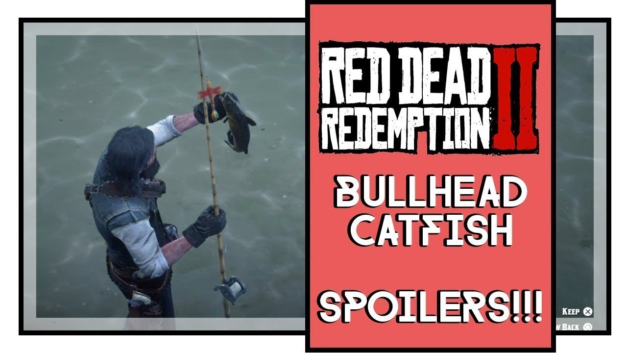 Legendary Bullhead Catfish Location & Catch Guide RDR2! YouTube