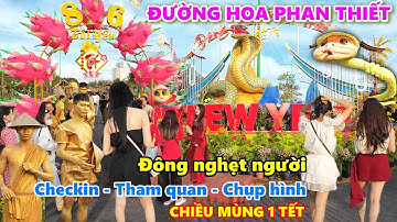 Đường hoa Xuân Phan Thiết đông nghẹt người, rạng ngời tham quan chiều Mùng 1 Tết Ất Tỵ 2025
