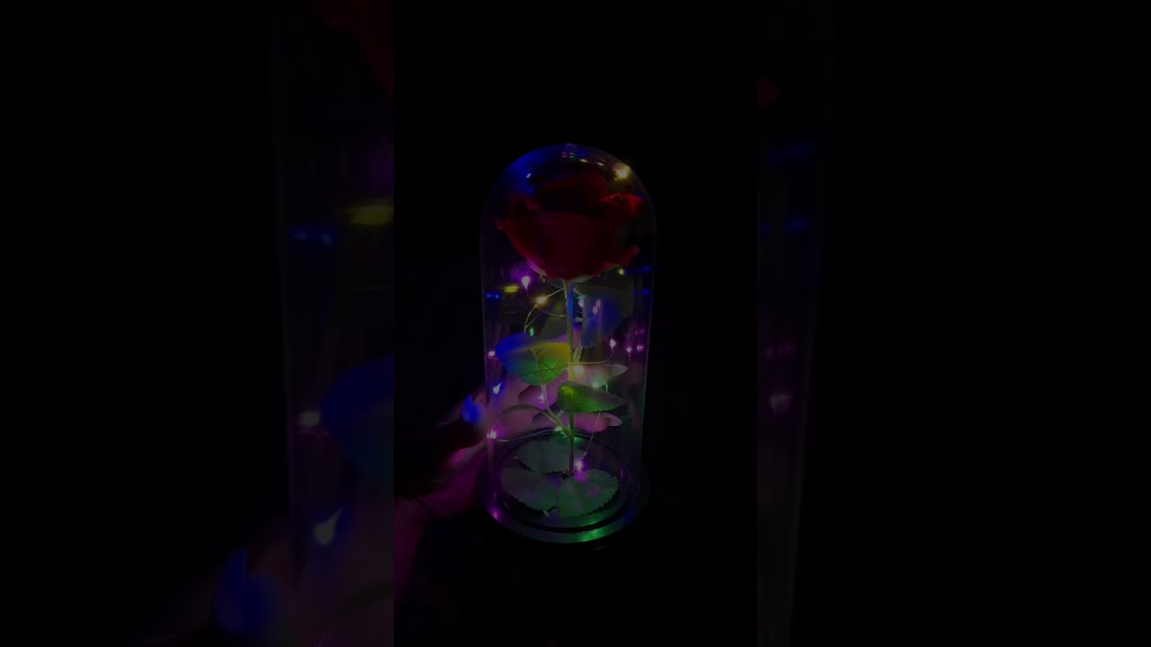 арт на вб: 771169656 