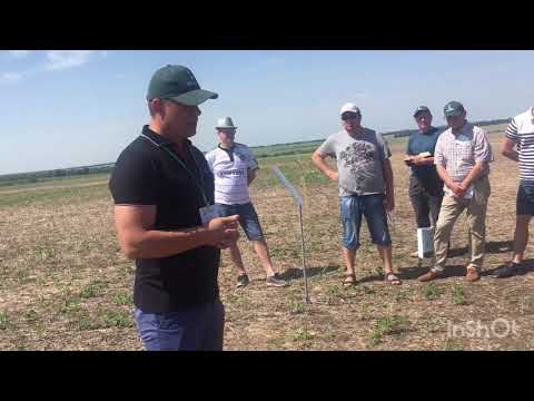 30.05.2019 no-till полевая