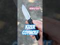 Kizer Coywolf Revisited @KizerCutlery