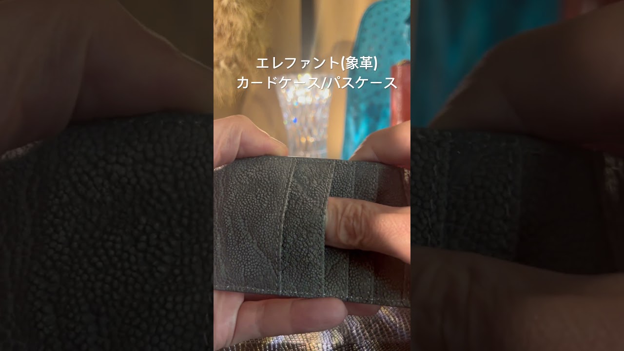 エレファントカードケース | 象革パスケース - 『皮革に製品としての