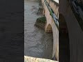 Granada en Esperanto