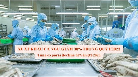 VASEP Highlight - T4/2023: Xuất khẩu cá ngừ giảm 30% trong quý I/2023