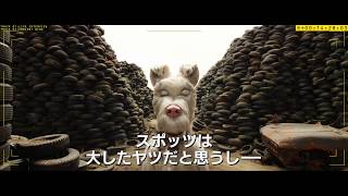 映画 完売しました 犬ヶ島 前売りムビチケ オリジナルフィギュア6体セット 受付が5月24日まで あにめはねてまて 映画 完売しました 犬ヶ島 前売りムビチケ オリジナルフィギュア6体セット 受付が5月24日まで あにめはねてまて