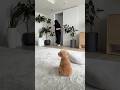 ママに置いていかれたと思った〜😂