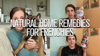 Natural Home Remedies for French Bulldogs by The French Bullvlog 1,416 views 3 years ago 4 minutes, 53 seconds