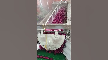 máy rửa khoai lang, máy rửa nghệ siêu sạch