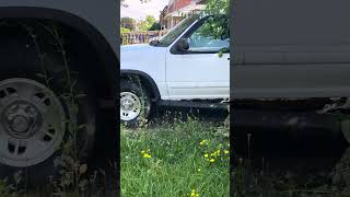 Random Cat Video #cat #catshorts #catvideos #cats @spaceboyctstudios2934
