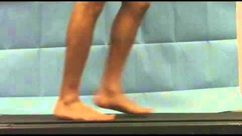KB BA A 8 The Gait Cycle: A Breakdown of each Component