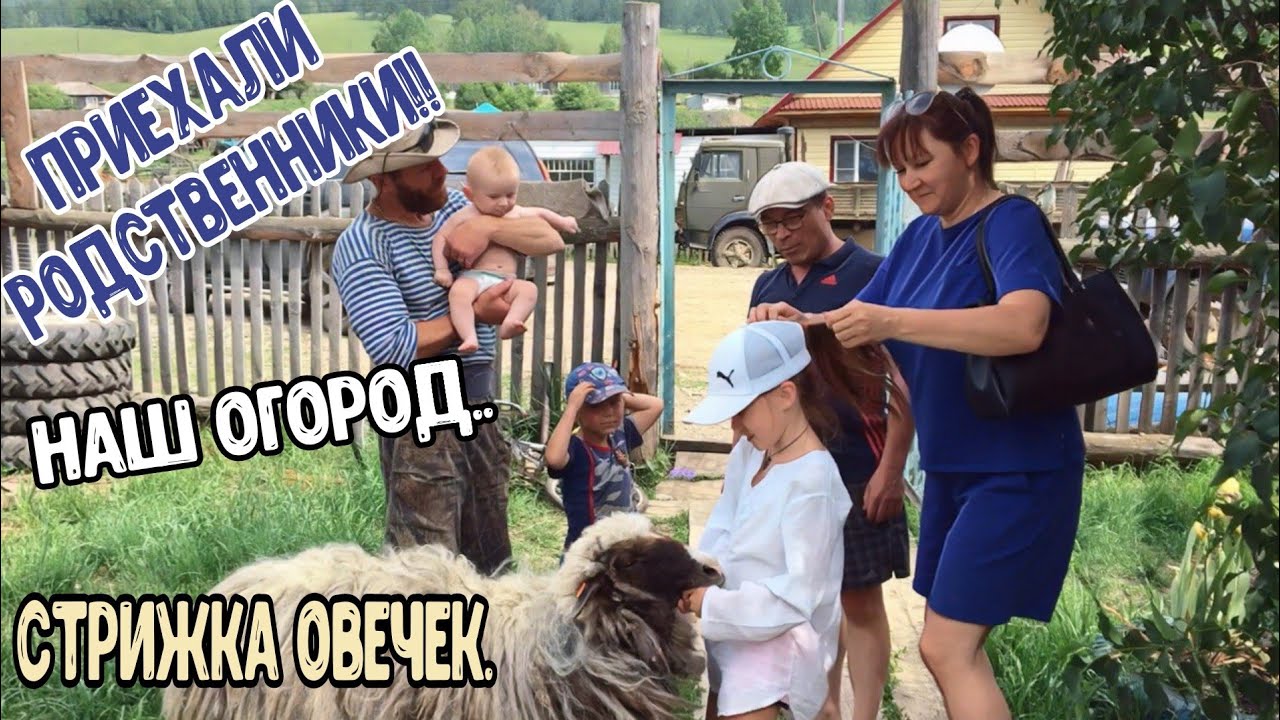 Родственники гостят