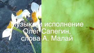 принцесса муз.и исполнение Олег Сапегин,слова А. Малай