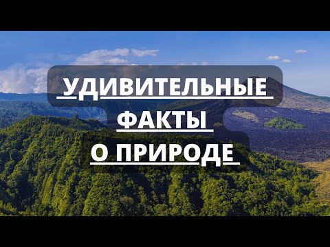 Самые Удивительные и Интересные факты о природе