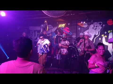Los Pikadientes de Caborca - El Palo Verde - En vivo -
