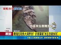三立獨家｜旗津釣魚釣到"綁繩螃蟹" 釣客怒"又是放生團體?" 養殖石斑魚大海野放? 釣客質疑"放生恐變放死"｜三立新聞LIVE